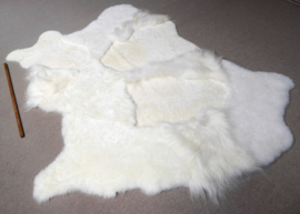 White Blizzard Sheepskin Rug, +/- 150 x 230 cm (33)