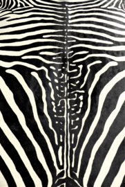 Koeienhuid met Zebra Print L (8)