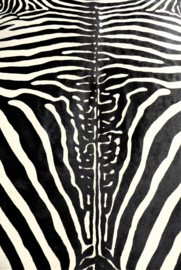 Zebra Printed Cowhide L (8)