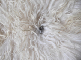 White Curly Icelandic Sheepskin S (4231)