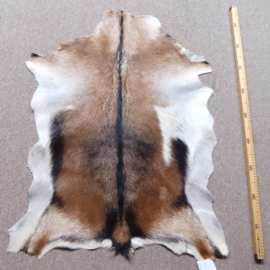 Goatskin (660)