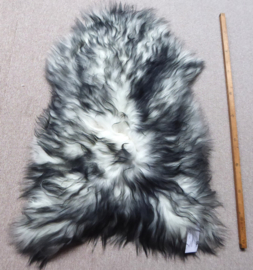 White Icelandic Sheepskin with Black Tips S (1000)