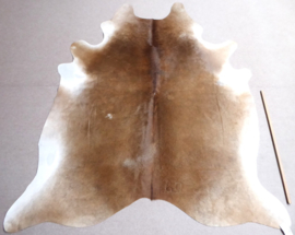 Caramel Cowhide L (600)