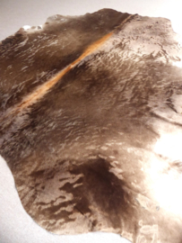 Taupe Cowhide XL (742)