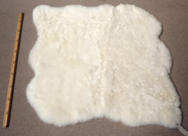 White Shorn Sheepskin Rug, Double, +/- 105 x 110 cm (10)