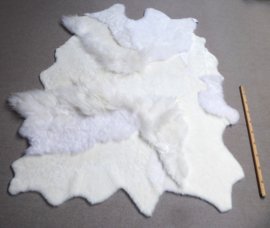 White Blizzard Sheepskin Rug, +/- 160 x 220 cm (251)