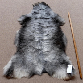 Welsh Sheepskin L (256)