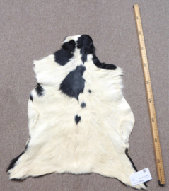 Goatskin (15)