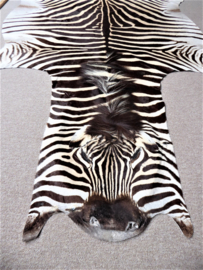 Zebra Hide Burchell B Grade (17)