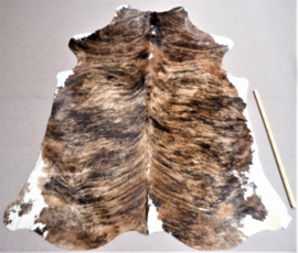 Brown-White Brindle Cowhide L (909)