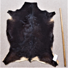 Goatskin (51)