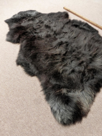 Welsh Sheepskin L (2230)