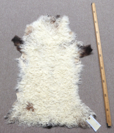 Curly Lambskin XS (4)
