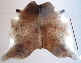 Brown Cowhide M (668)