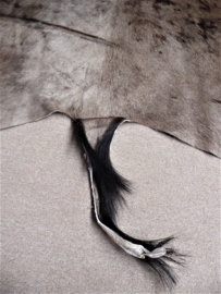 Gnu Hide (2)