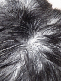 Black-Grey Curly Sheepskin M (5037)
