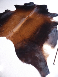 Brown Cowhide M (655)