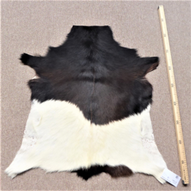 Goatskin (304)