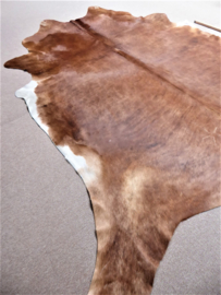 Cognac-White Cowhide XL (151')