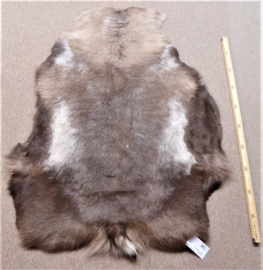 Reindeer Hide (58)