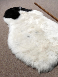 Spotted Shorn Sheepskin S (1171)