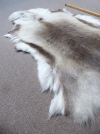 Reindeer Hide (37)