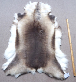 Reindeer Hide (36)