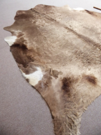 Taupe Cowhide L (301)
