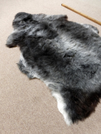 Welsh Sheepskin L (2227)