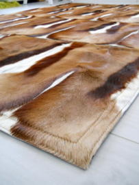 Springbok patchwork tapijten