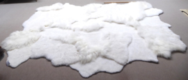 White Blizzard Sheepskin Rug, +/- 230 x 330 cm (5)