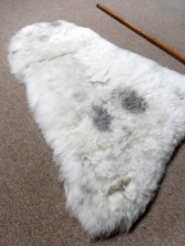 Spotted Shorn Sheepskin S (1774)