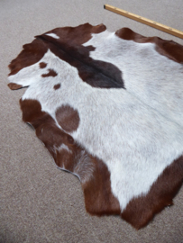 Goatskin (669)