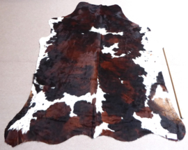 Tri-Coloured Cowhide L (341)