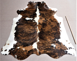 Tri-Coloured Cowhide L (155)