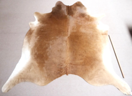 Caramel Cowhide XL (314)