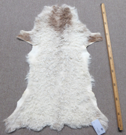 Curly Lambskin XS/S (6)