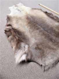 Reindeer Hide (79)