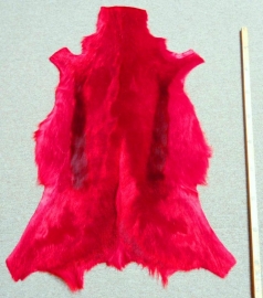 Springbok hide Red