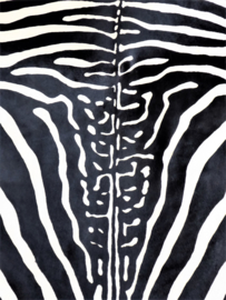 Zebra Printed Cowhide L (7)