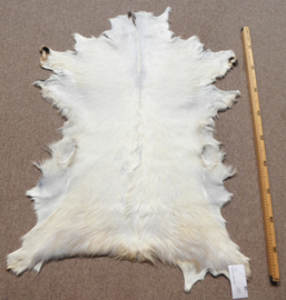 Goatskin (654)