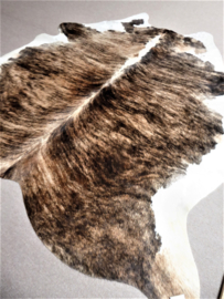 Brown-White Brindle Cowhide L (448)