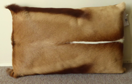 Springbok Cushion (63)