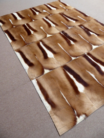 Springbok Patchwork Rug, 160 x 240 cm