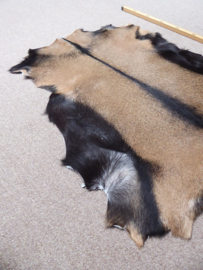 Goatskin (662)