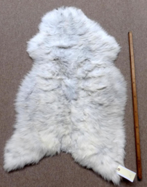 Welsh Sheepskin M (254)