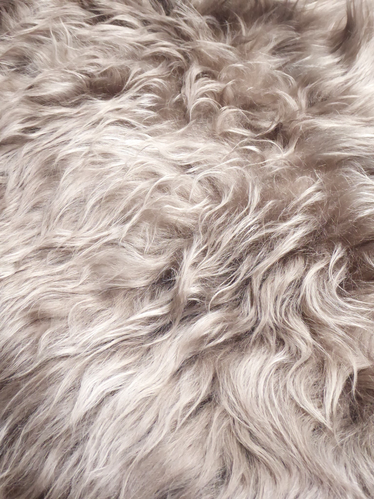 Mole Brown Icelandic Sheepskin, Double (7)