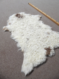 Curly Lambskin XS (1)