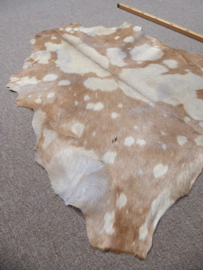 Goatskin (670)