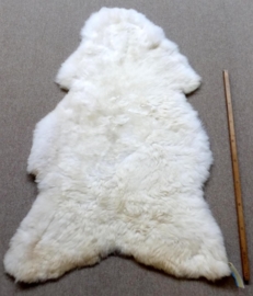 White Sheepskin XXL (1037)